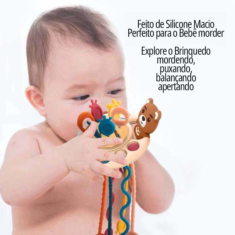 Brinquedo Sensorial Montessori Animais - 9 em 1 Bimboh!